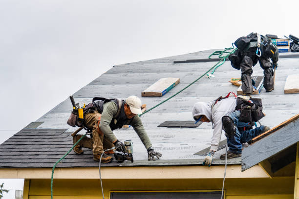 Professional Roofing technician working in Russellville, AL